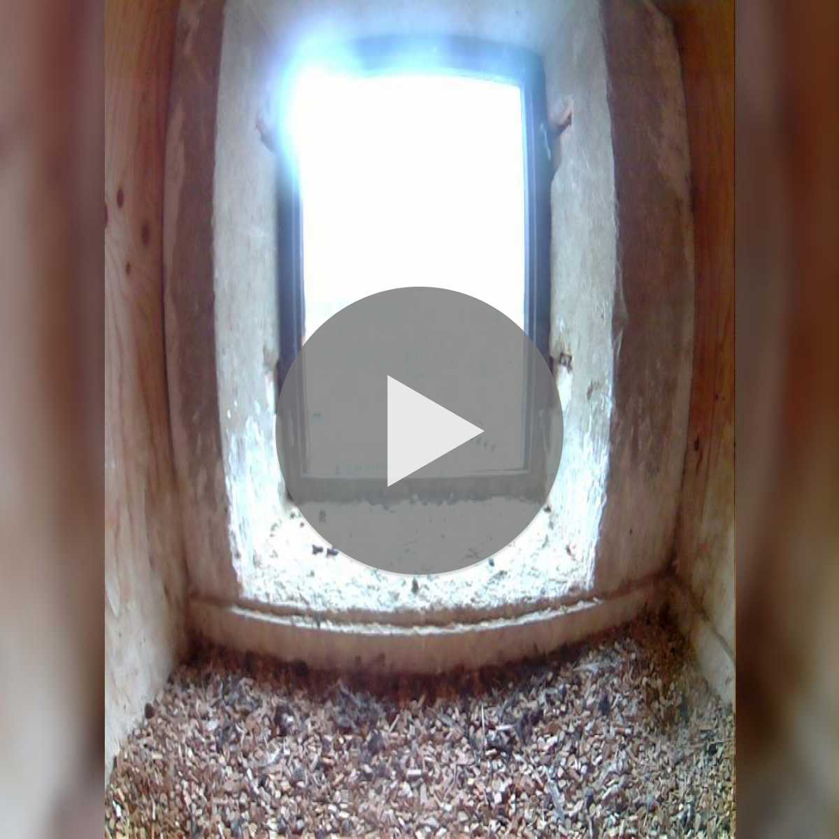 Stadtprozelten webcam