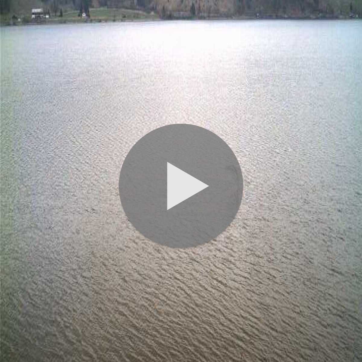 Stadtprozelten webcam