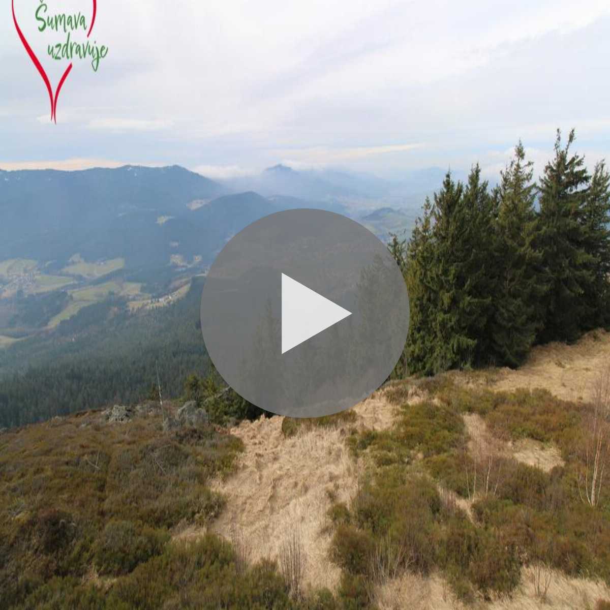 Stadtprozelten webcam