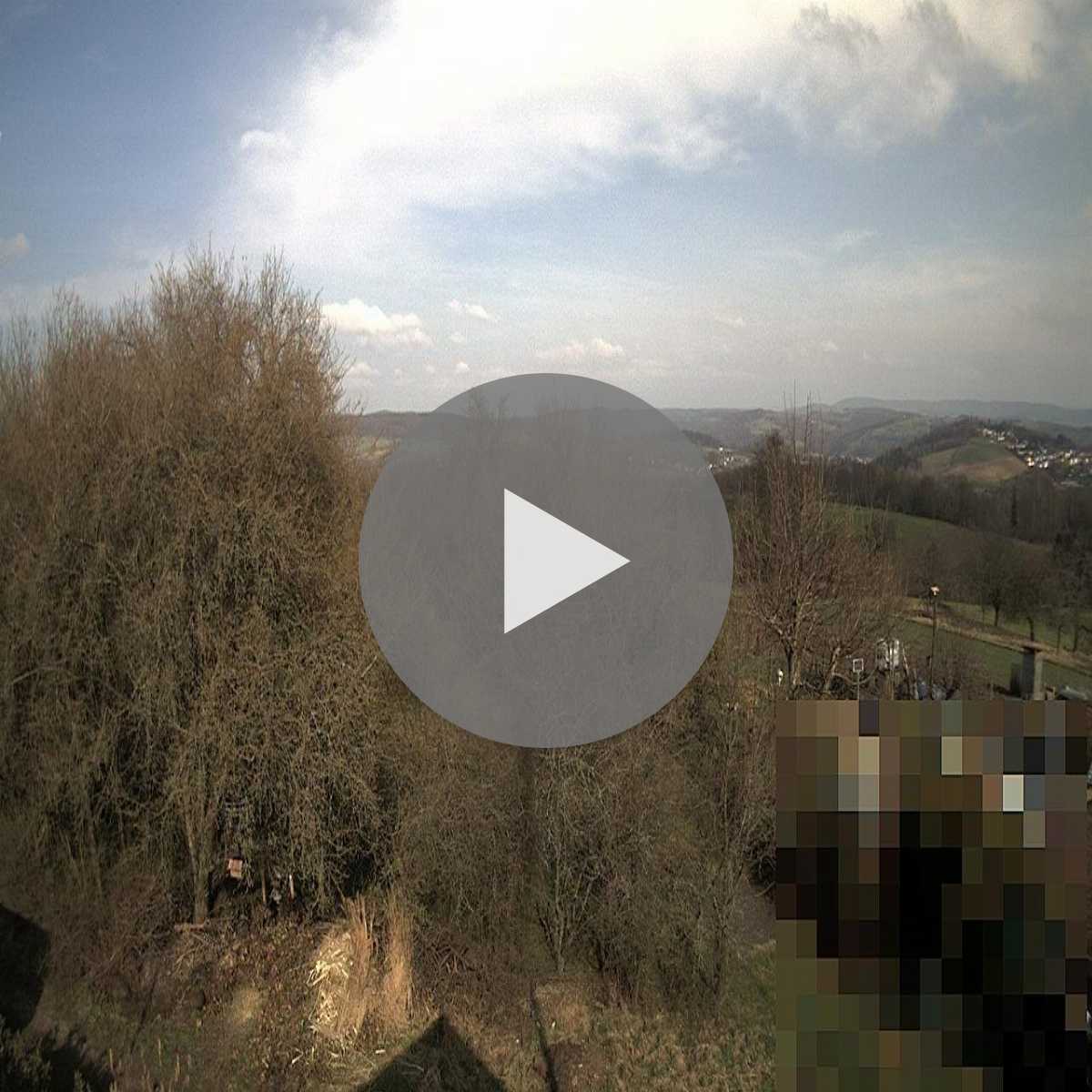 Stadtprozelten webcam