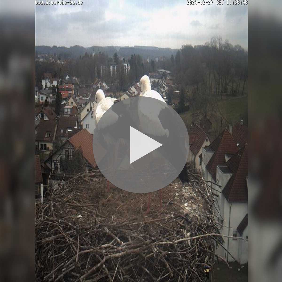 Essingen webcam