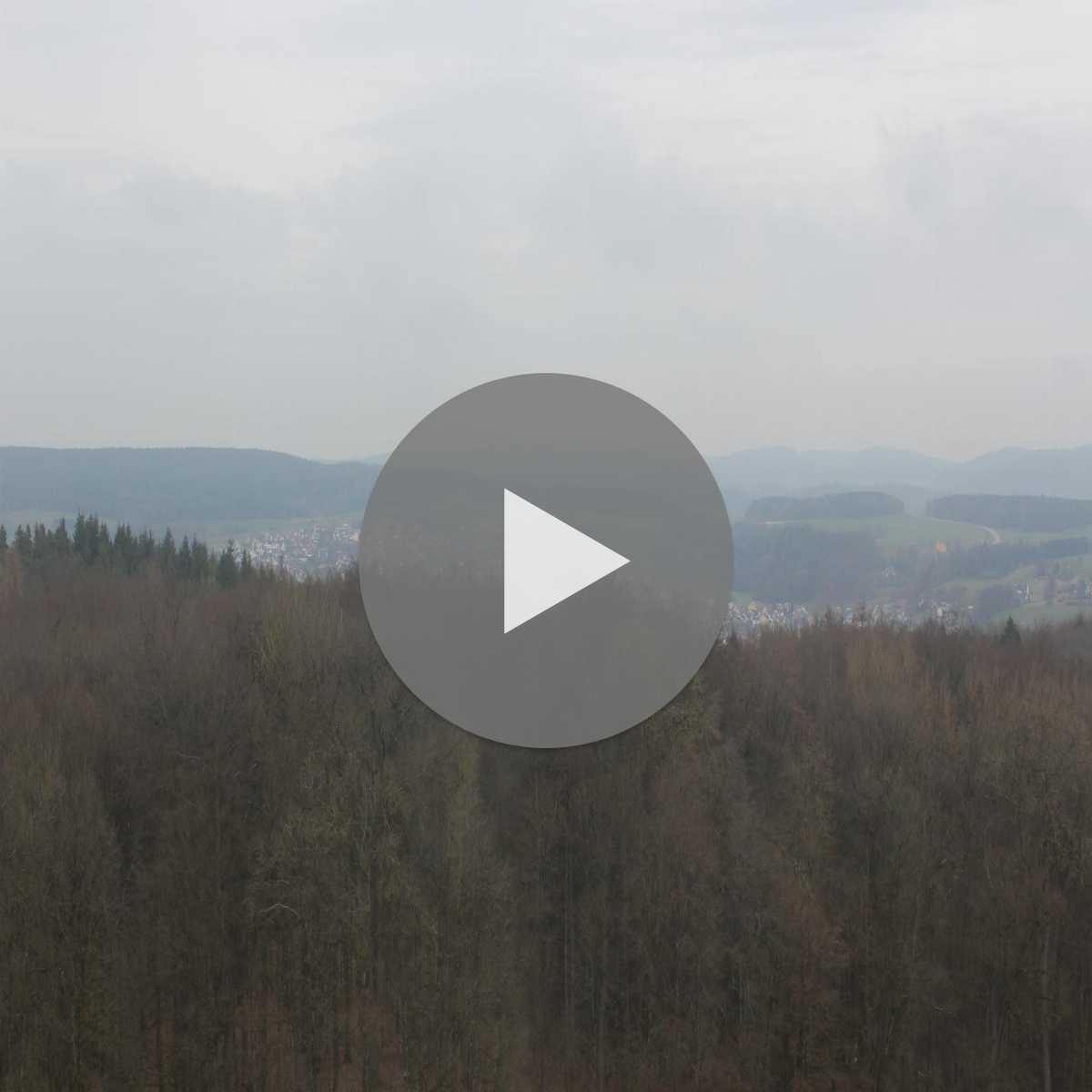 Stadtprozelten webcam