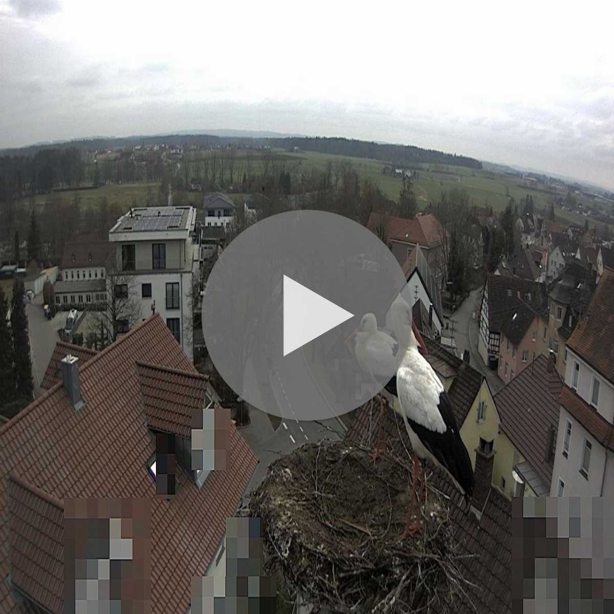 Essingen webcam