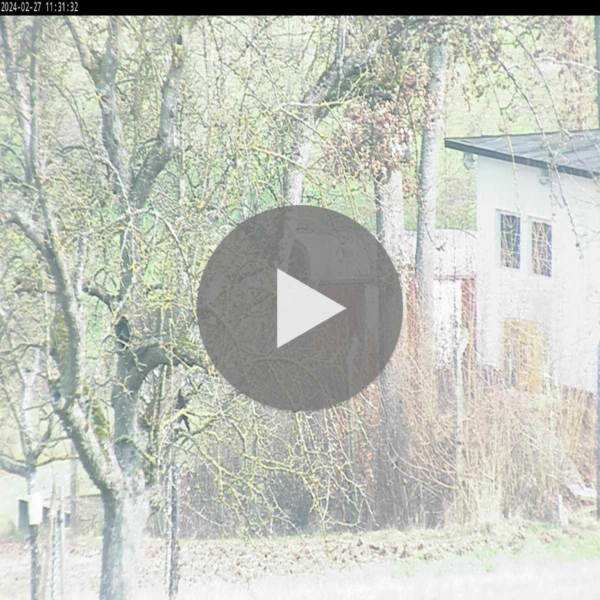 Stadtprozelten webcam