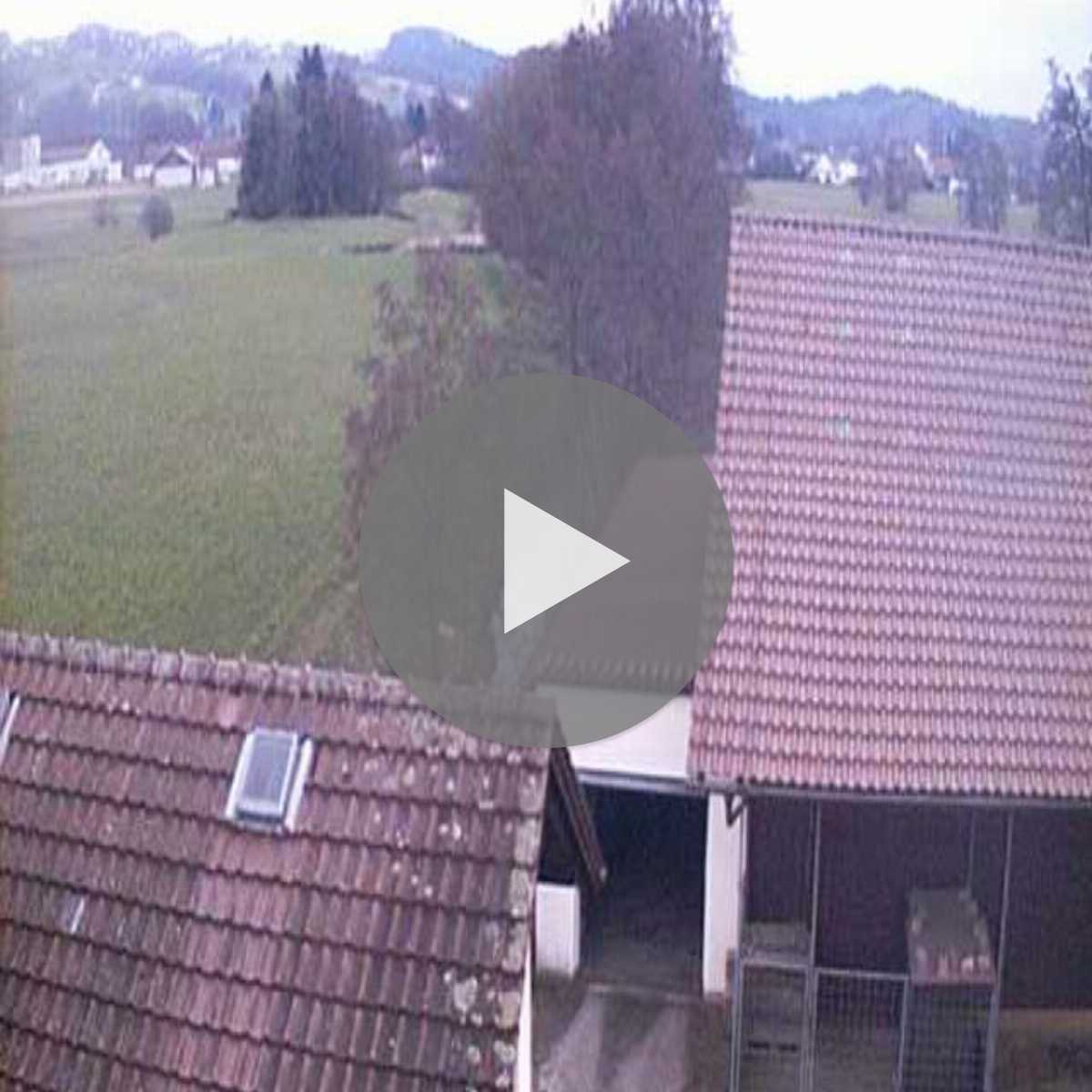 Stadtprozelten webcam