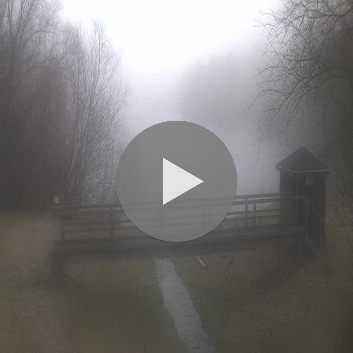 Stadtprozelten webcam