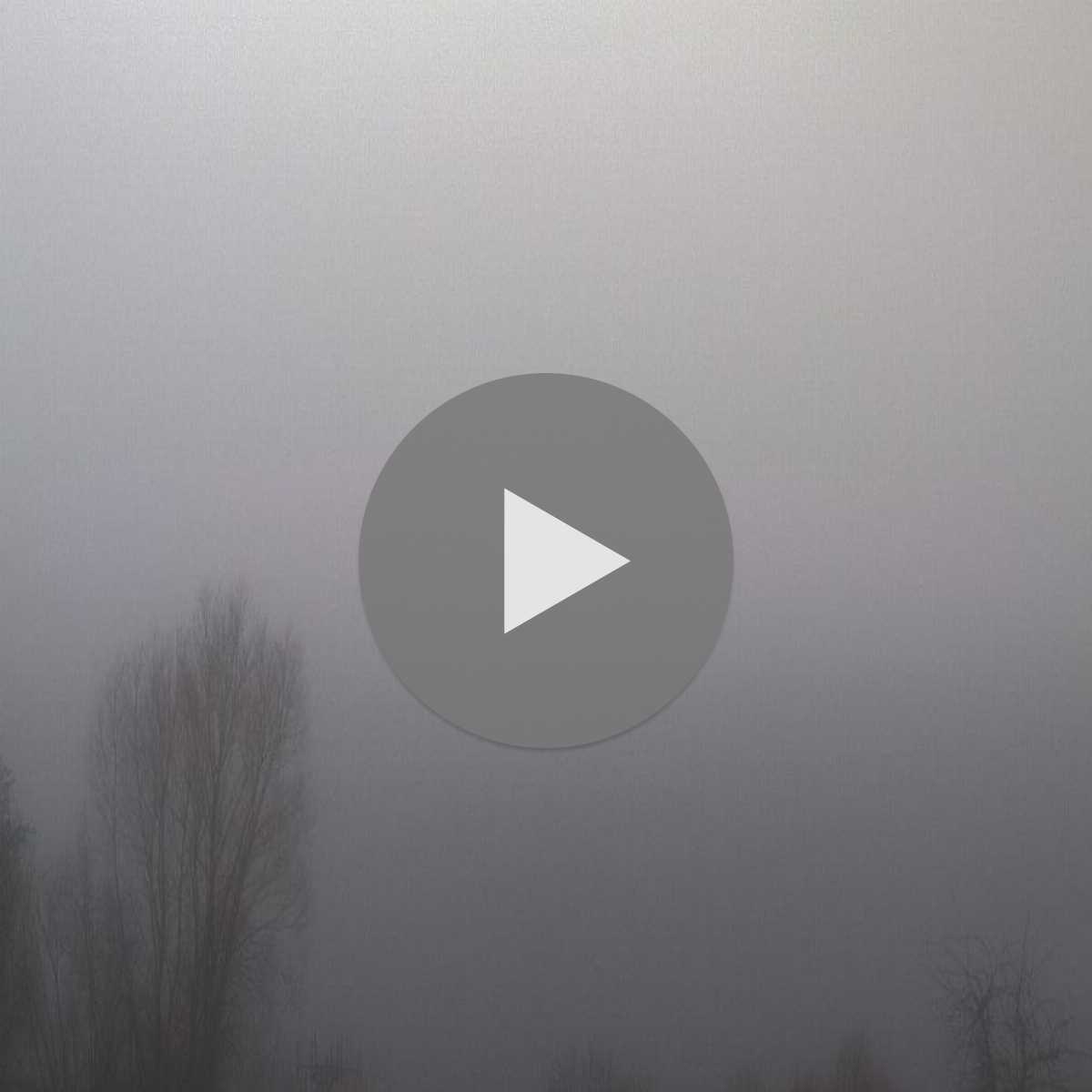 Stadtprozelten webcam