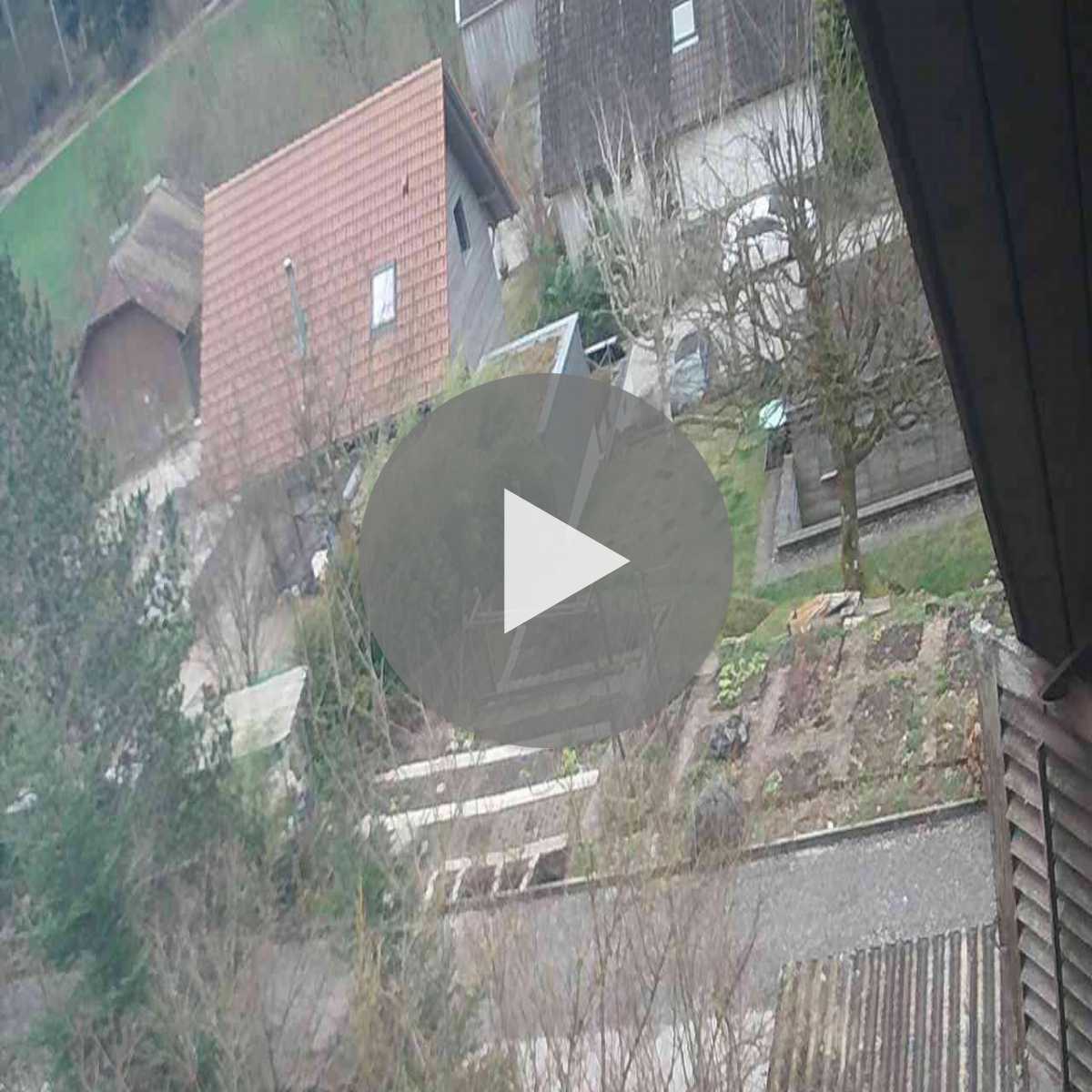 Moriken Wildegg webcam