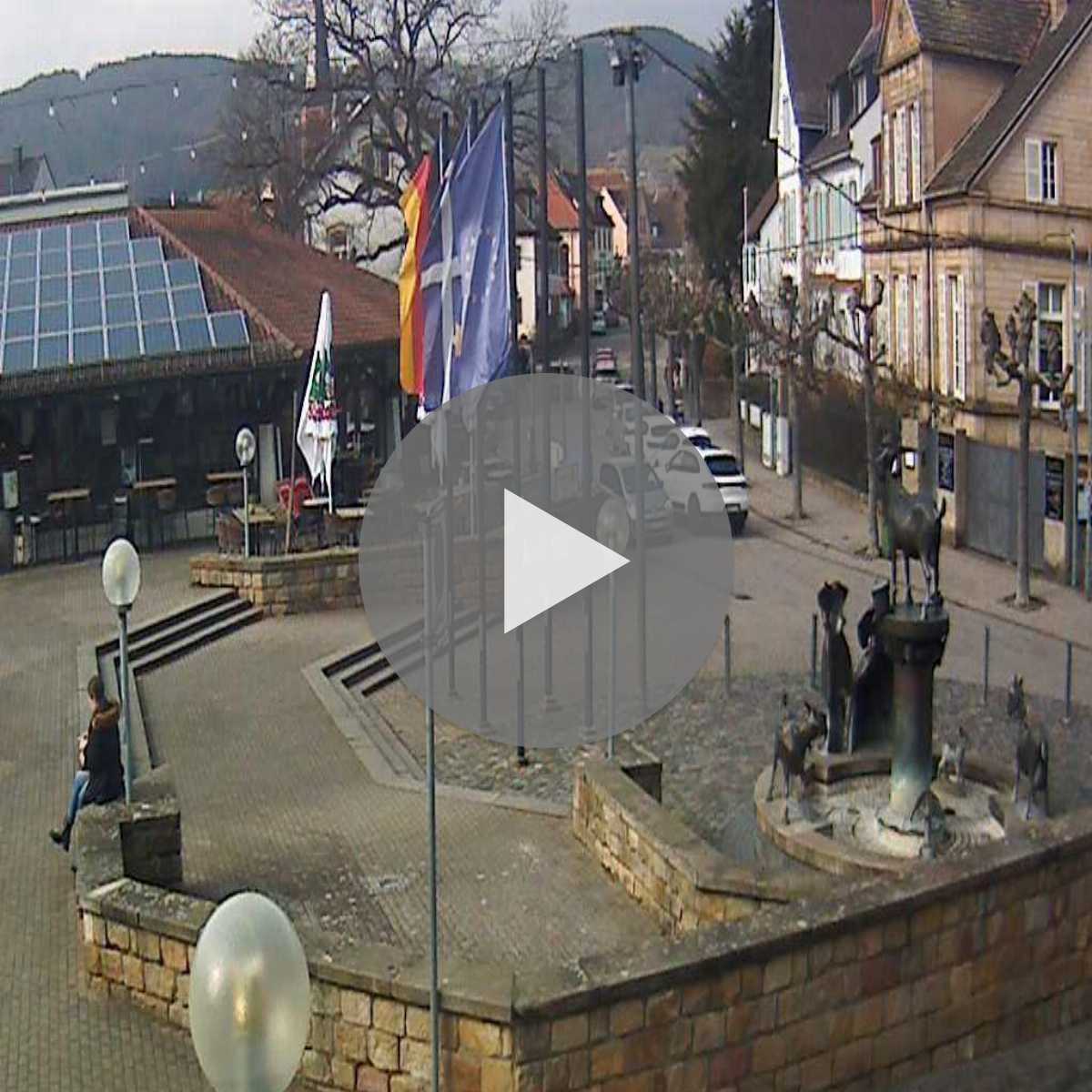 Dreisbach webcam