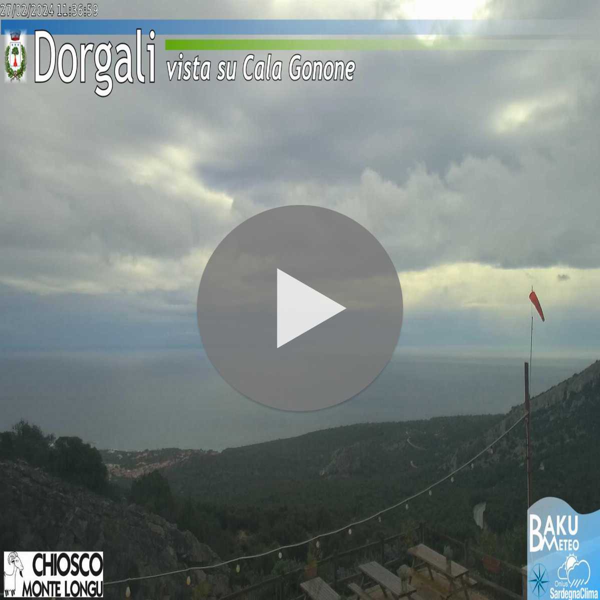 Tonara webcam