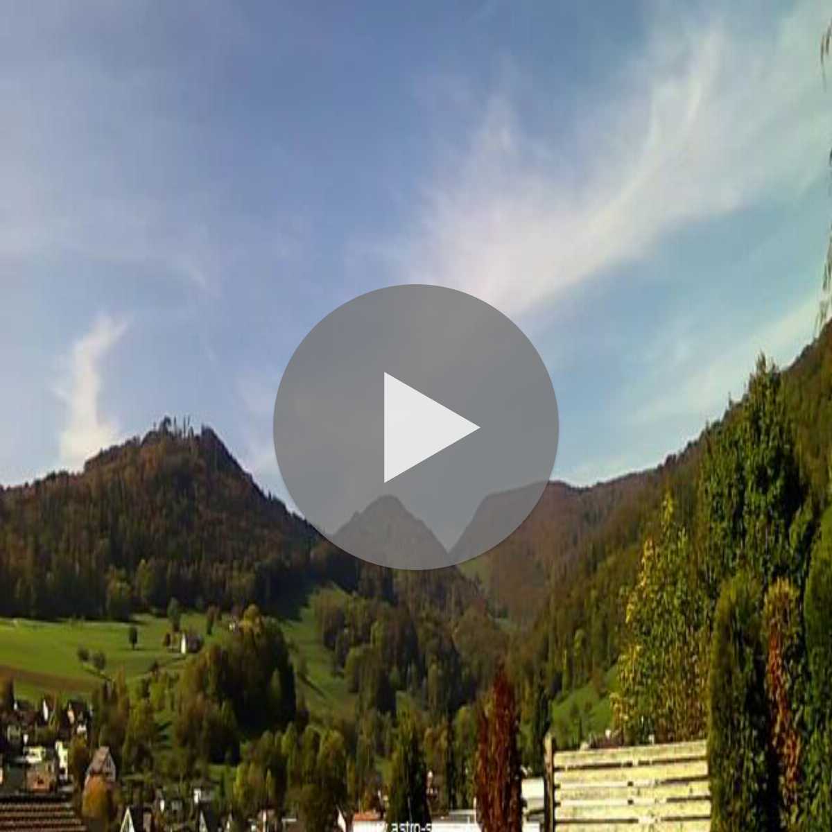 Moriken Wildegg webcam