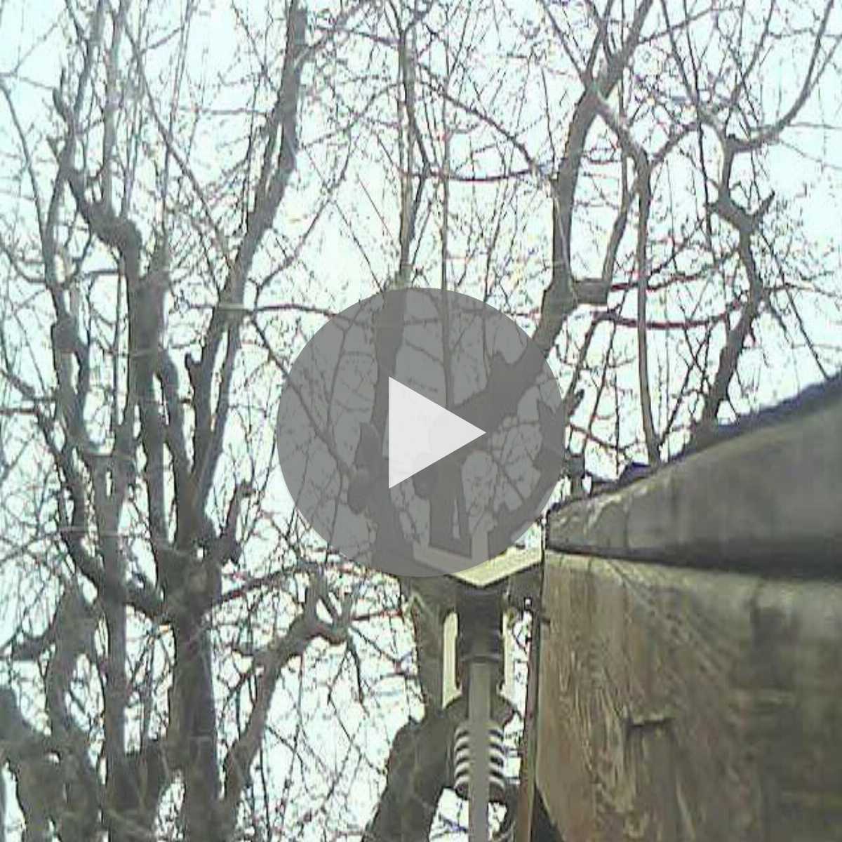 Stadtprozelten webcam