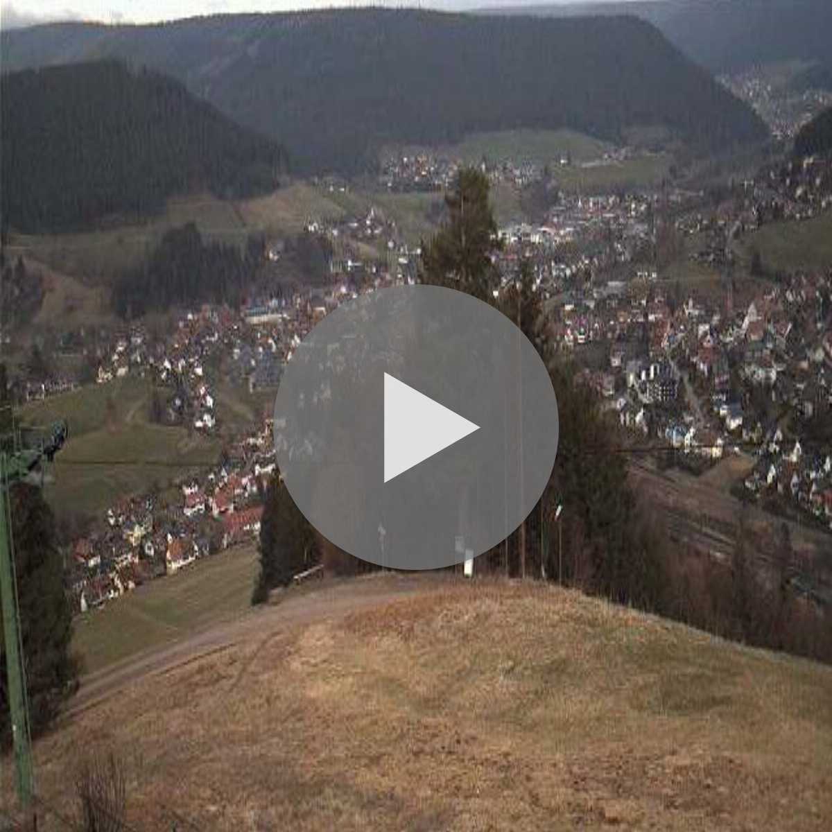 Essingen webcam