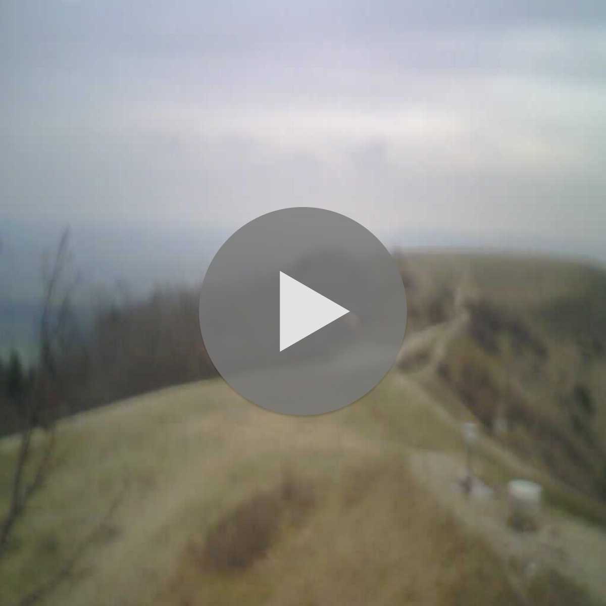 Stadtprozelten webcam