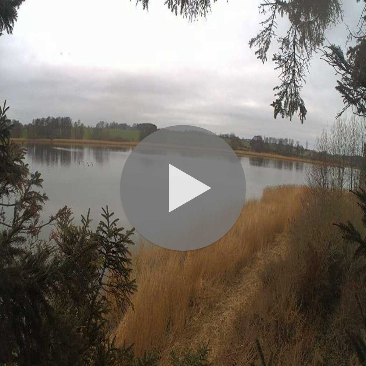 Grossenbroderfahre webcam