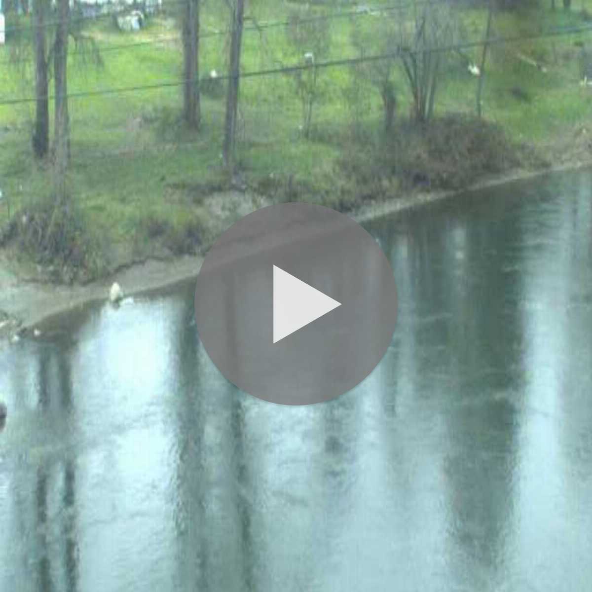 Jordan Valley webcam