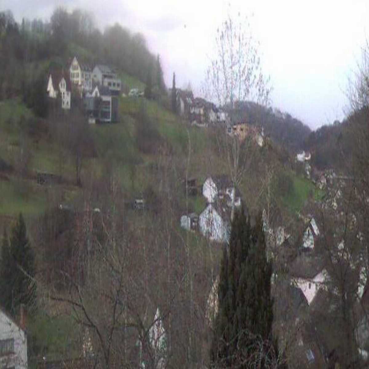 Stadtprozelten webcam