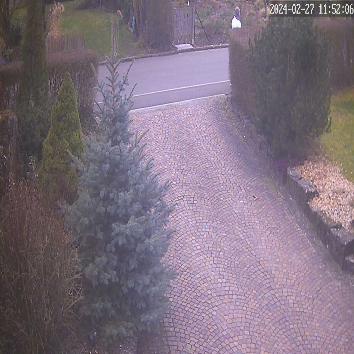 Stadtprozelten webcam