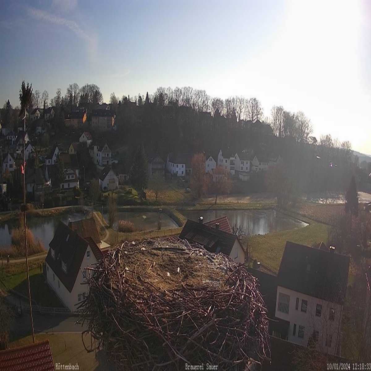 Stadtprozelten webcam