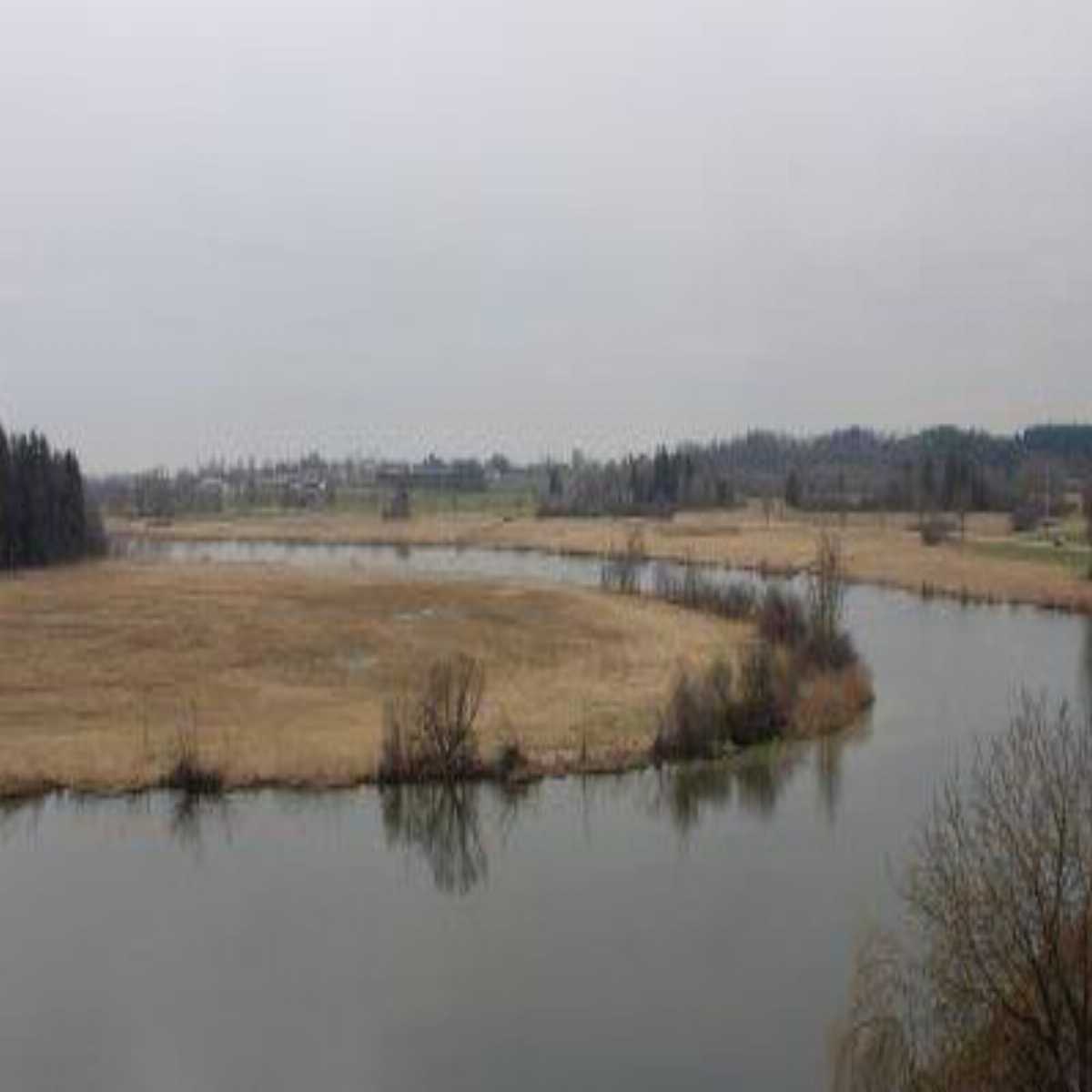 Stadtprozelten webcam