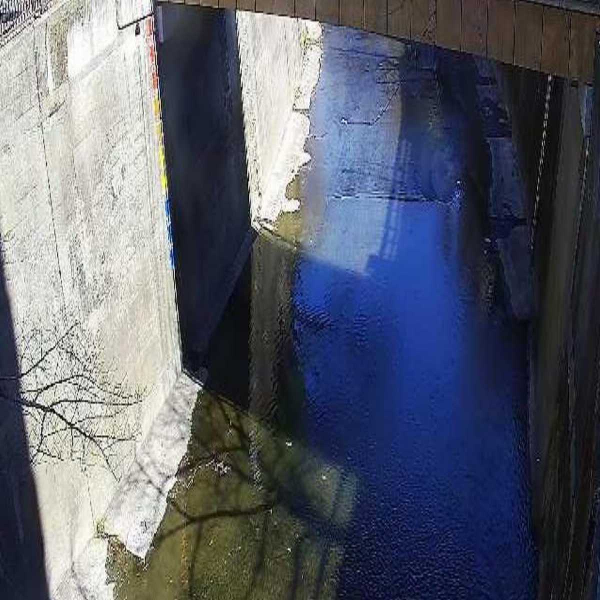 Katsushika Ku webcam