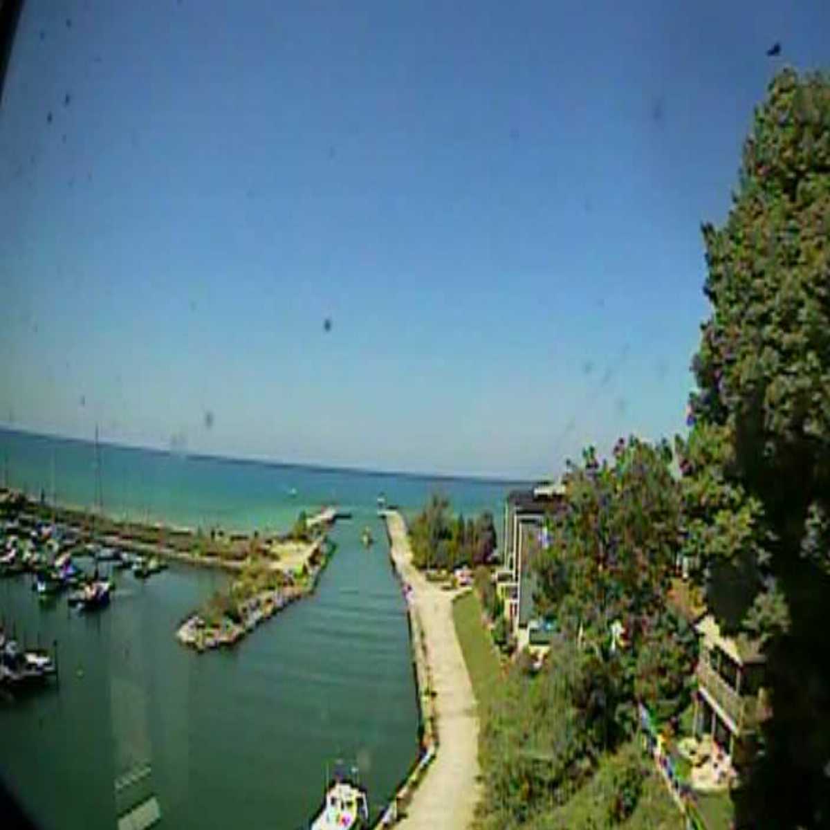Kingston webcam