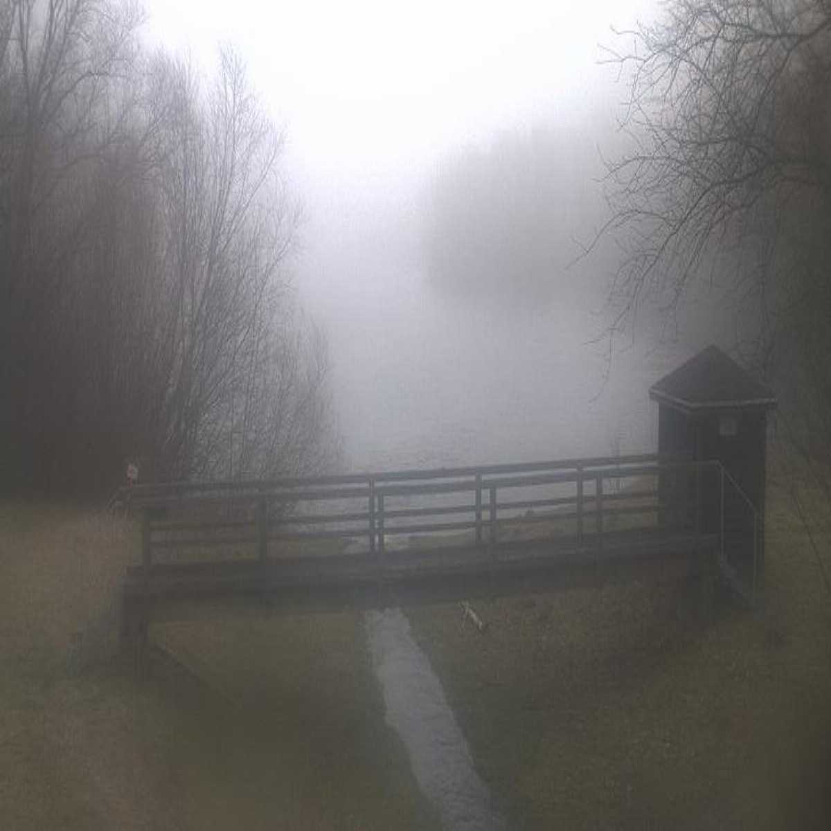 Stadtprozelten webcam