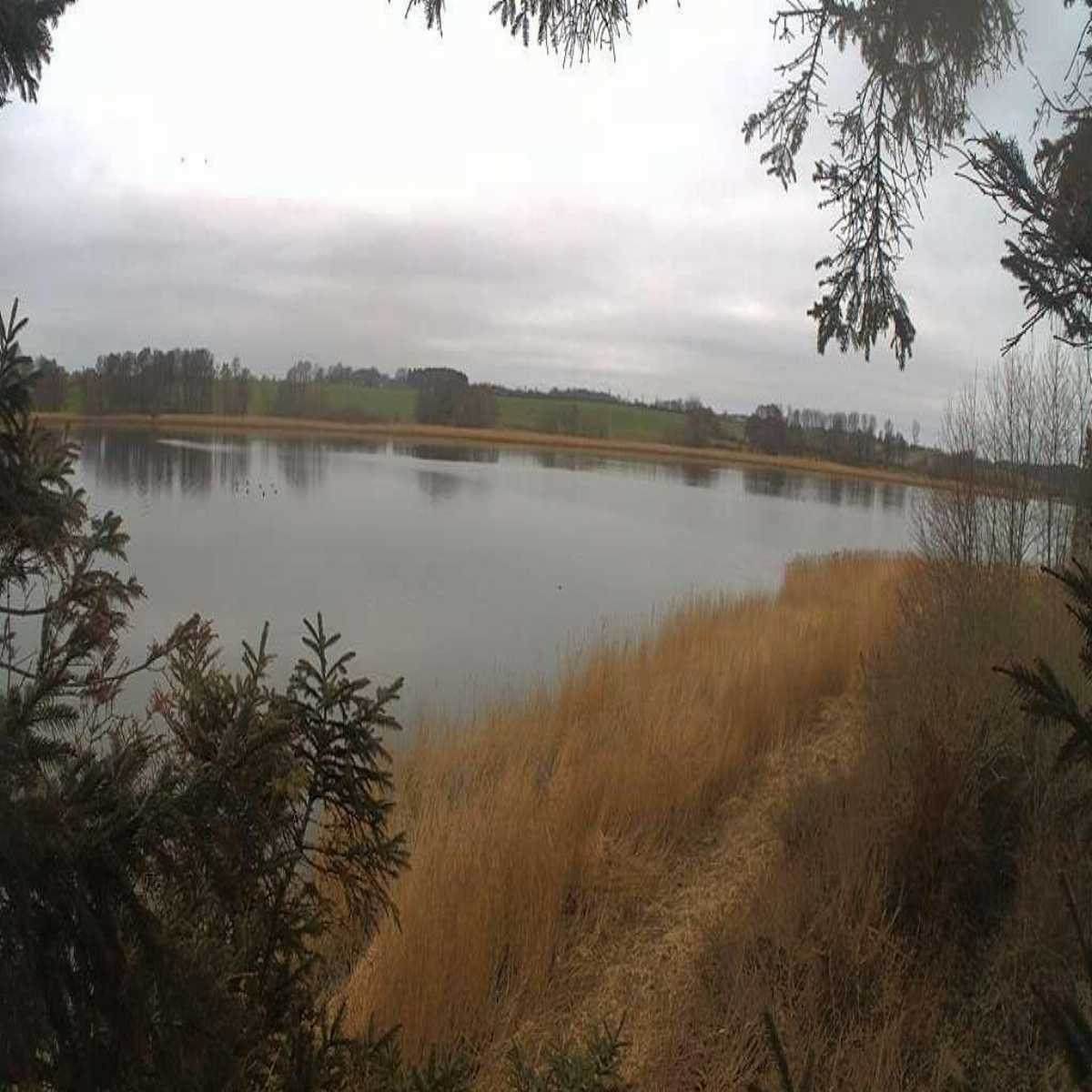 Grossenbroderfahre webcam