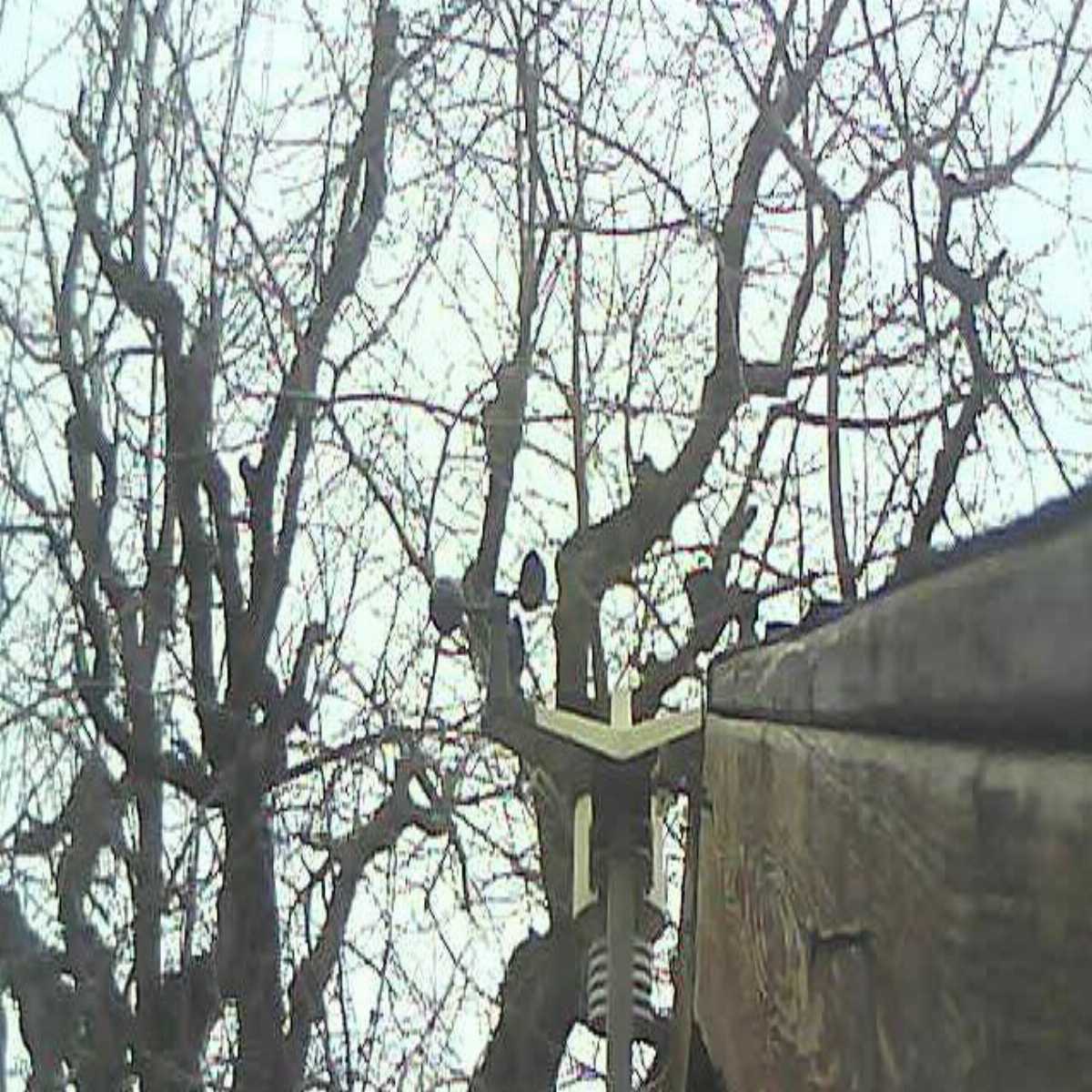 Stadtprozelten webcam