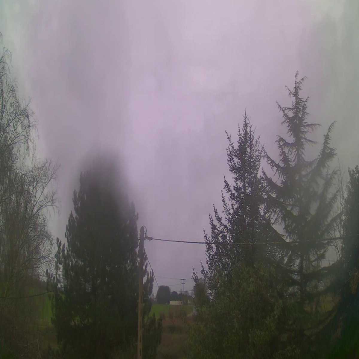 La Barre De Monts webcam