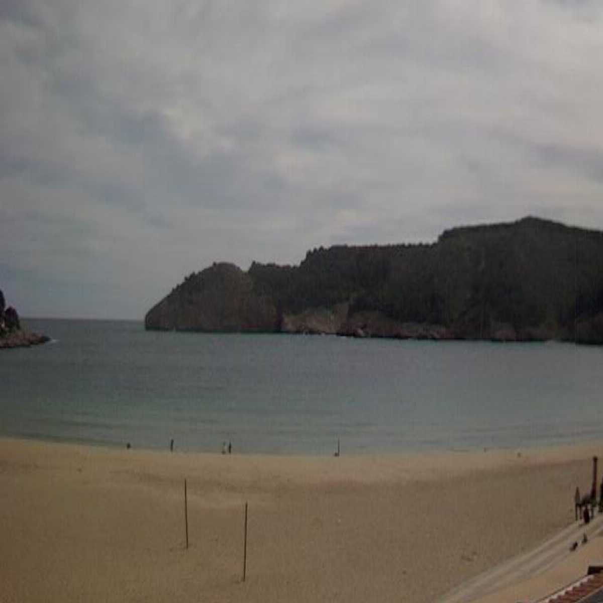 Moia webcam
