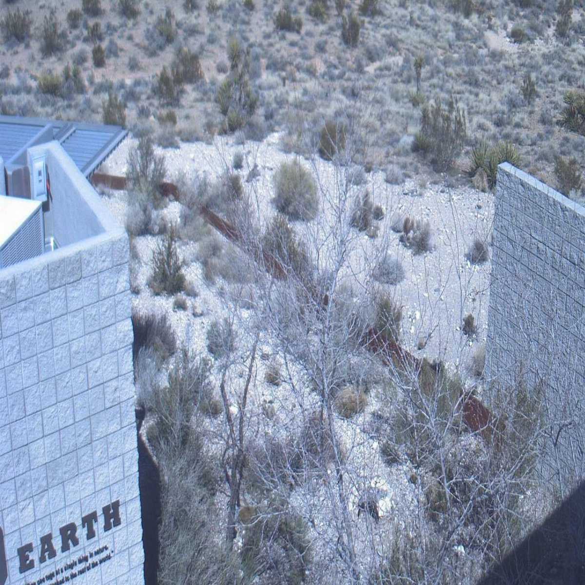 Silver Springs webcam