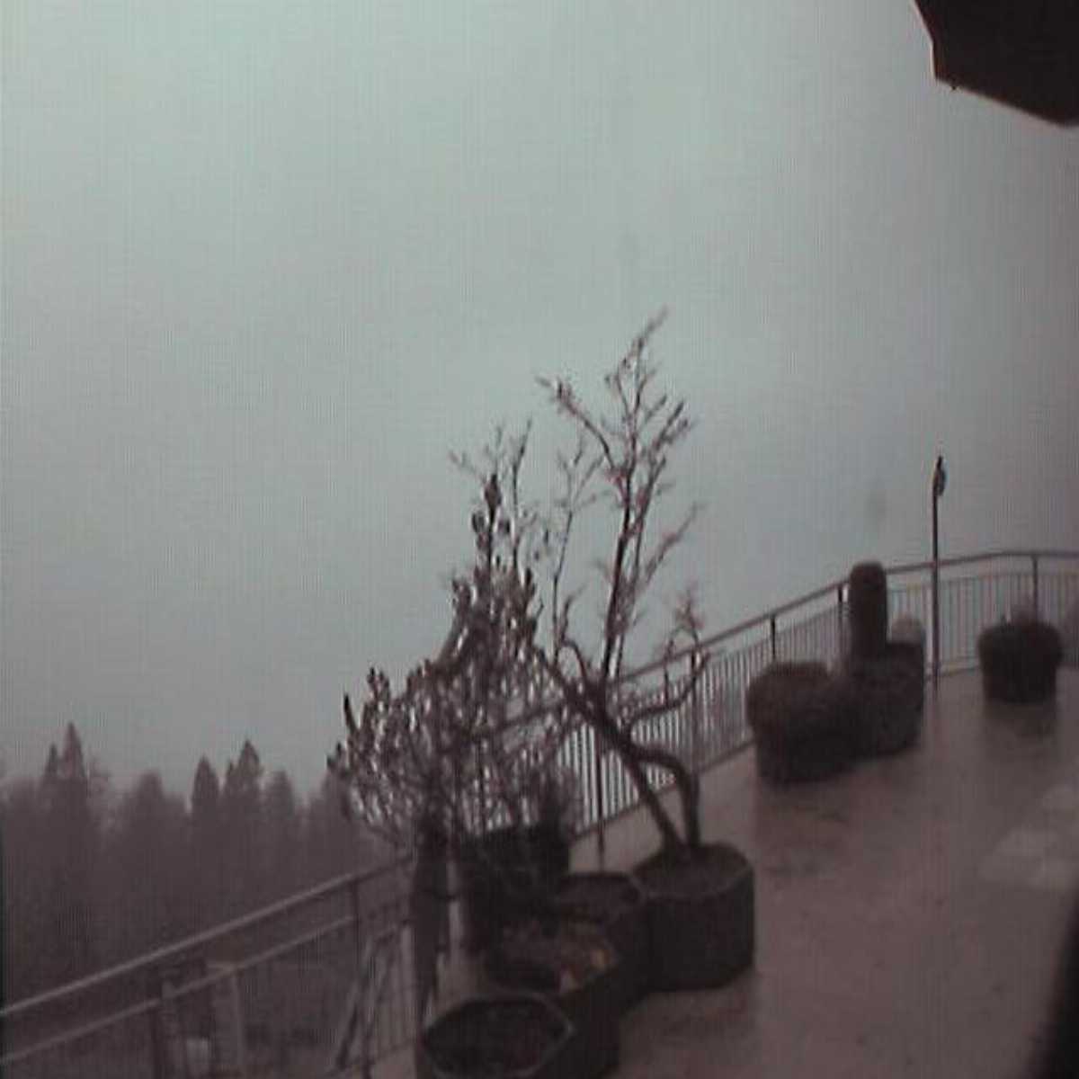 Kirchberg webcam