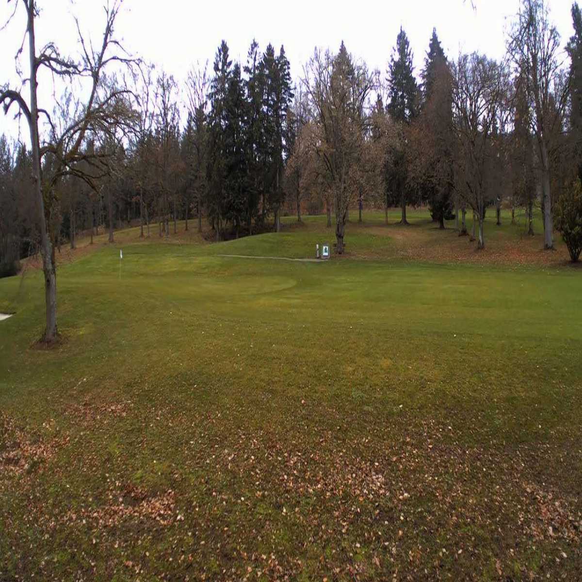 Stadtprozelten webcam