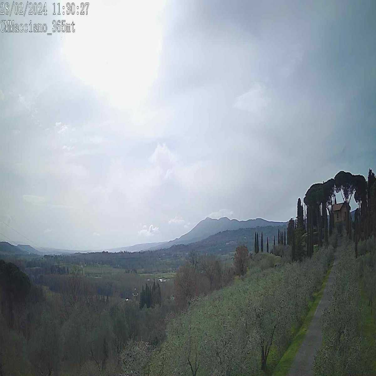 Porto Azzurro webcam