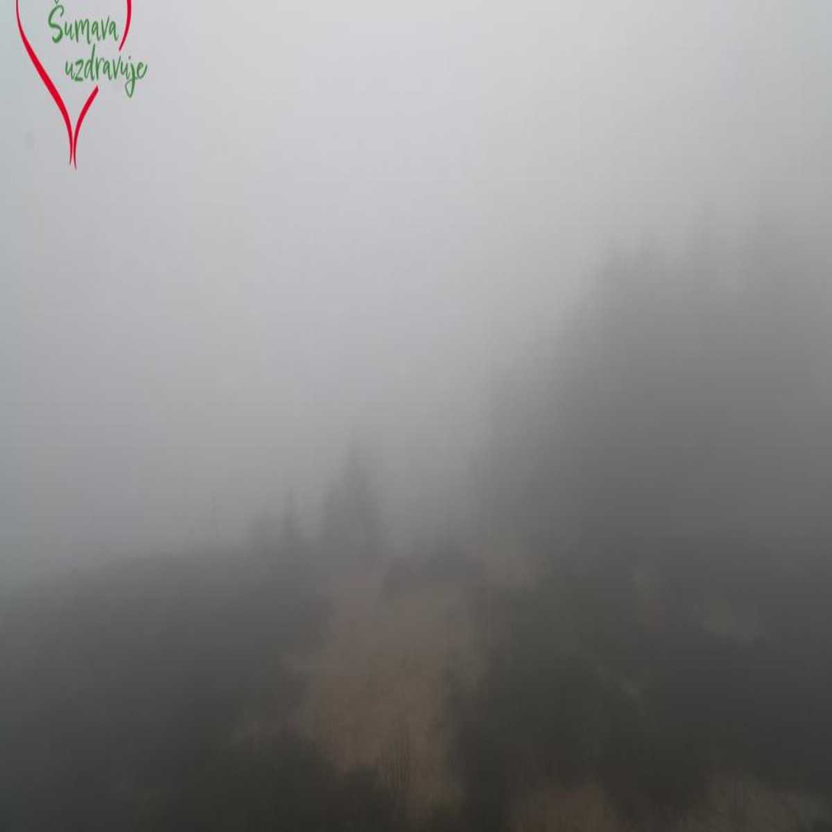 Stadtprozelten webcam