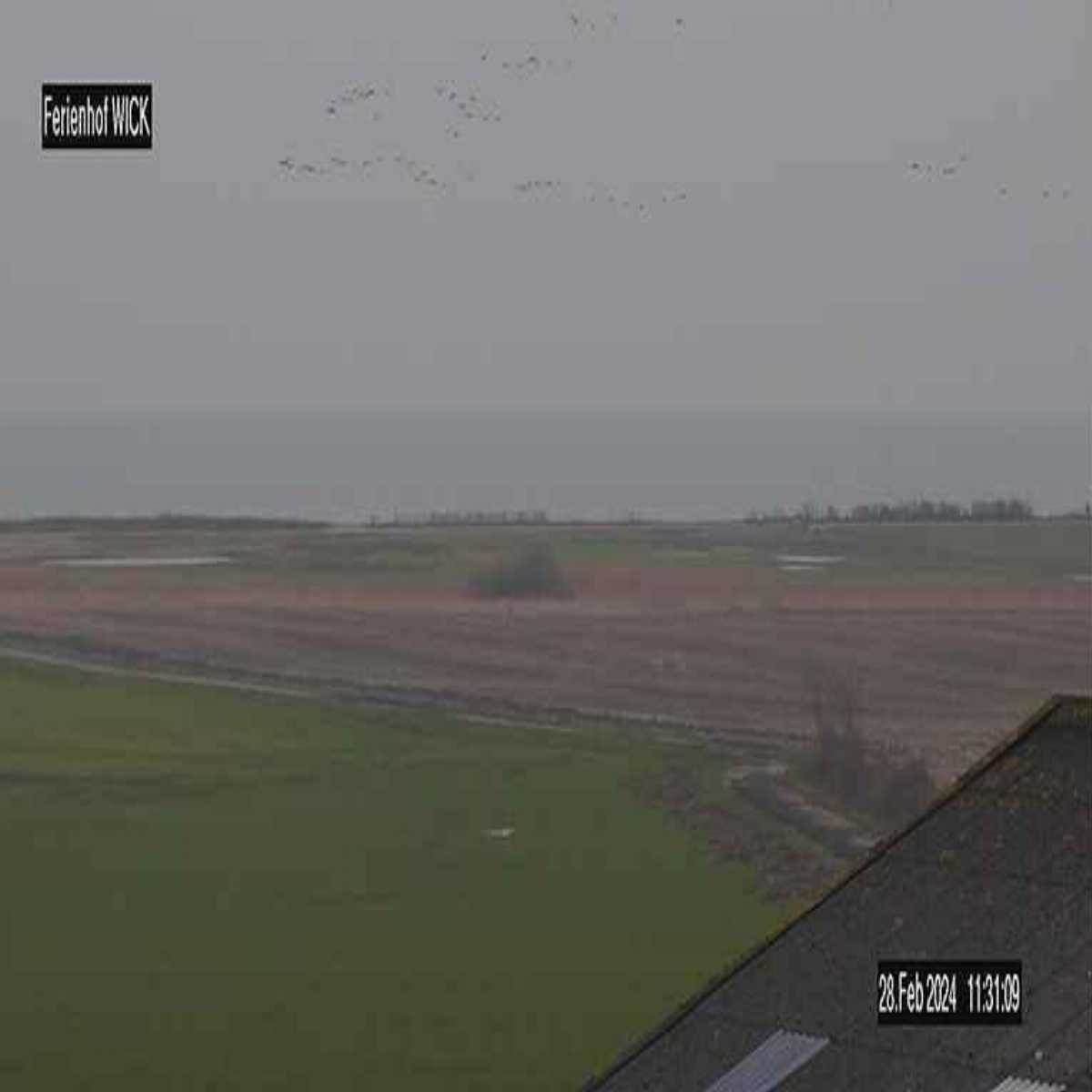 Grossenbroderfahre webcam