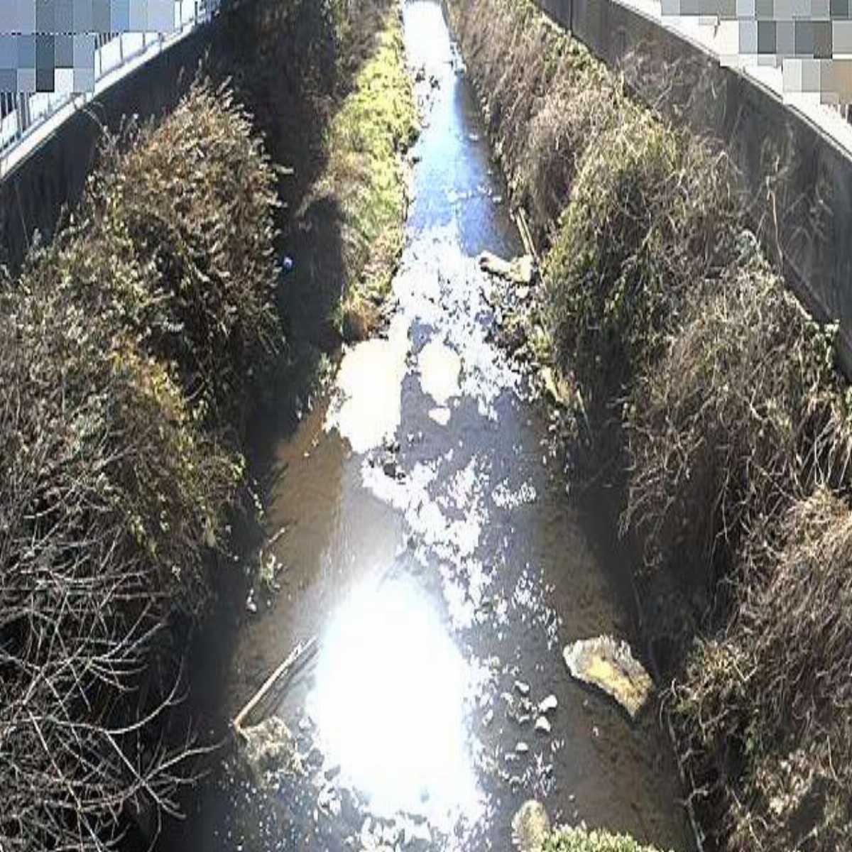 Katsushika Ku webcam