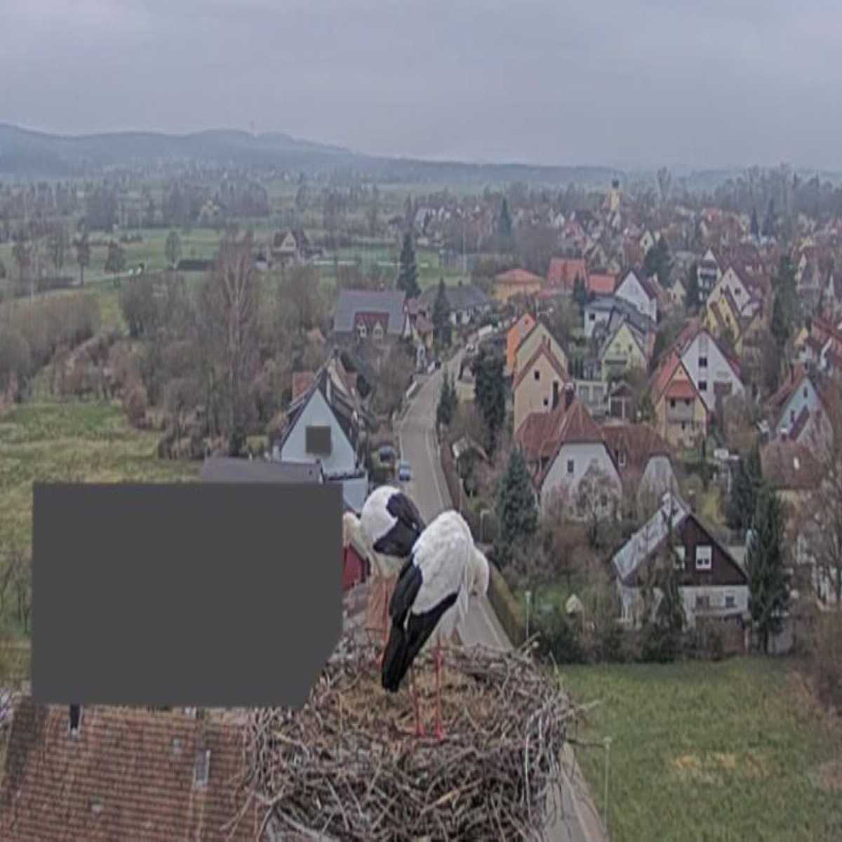 Stadtprozelten webcam