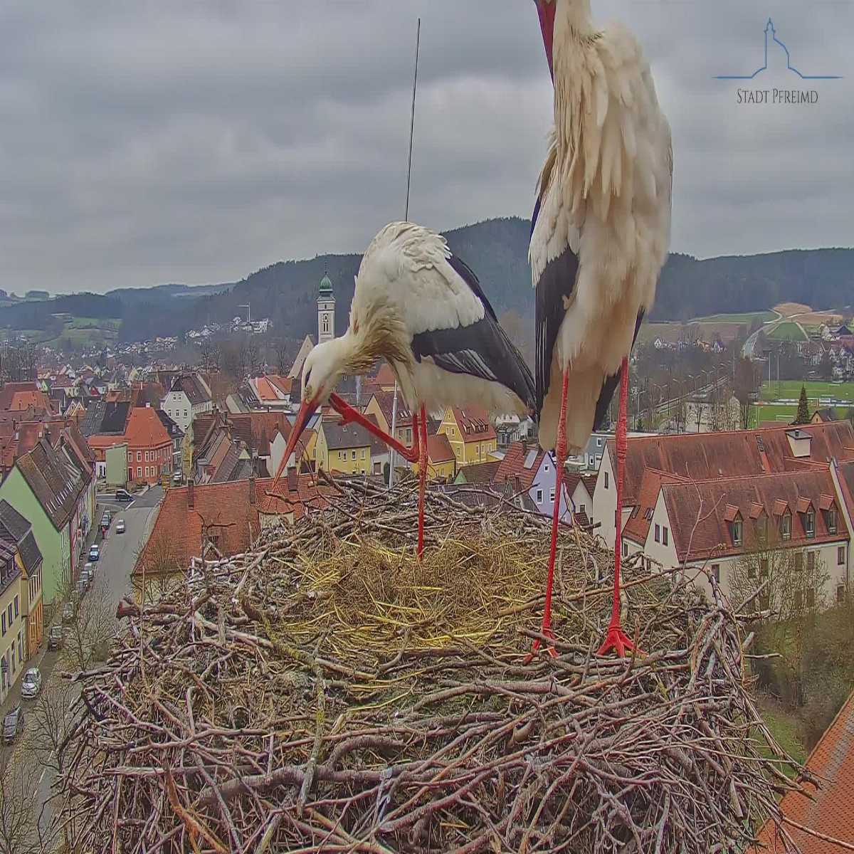Stadtprozelten webcam