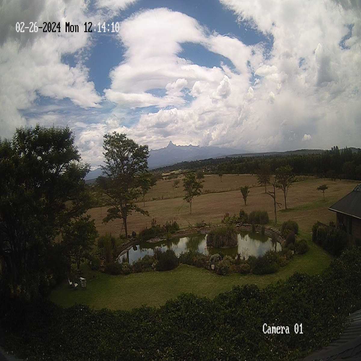 Nanyuki webcam