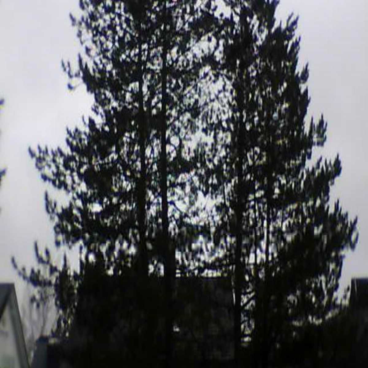 Stadtprozelten webcam