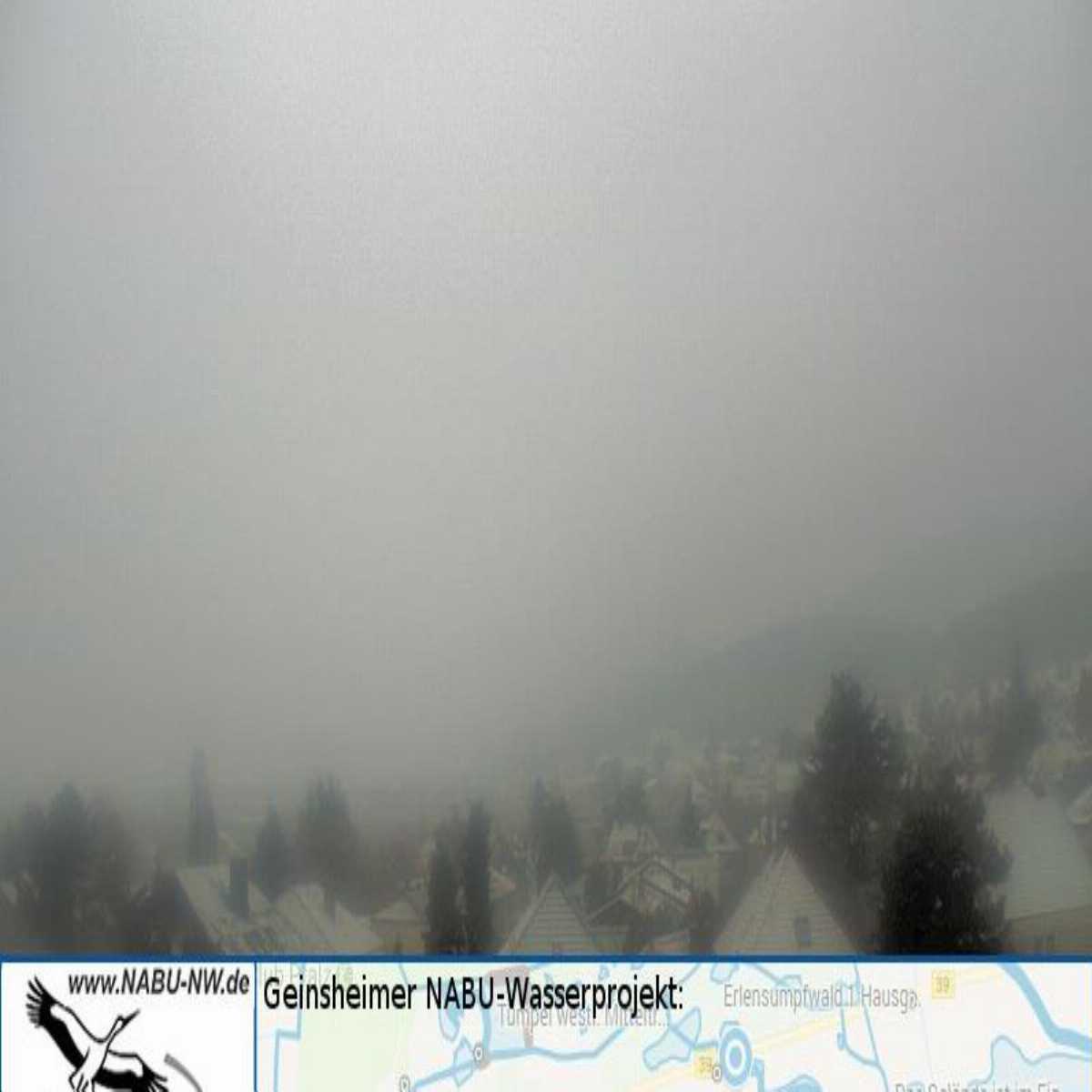 Dreisbach webcam