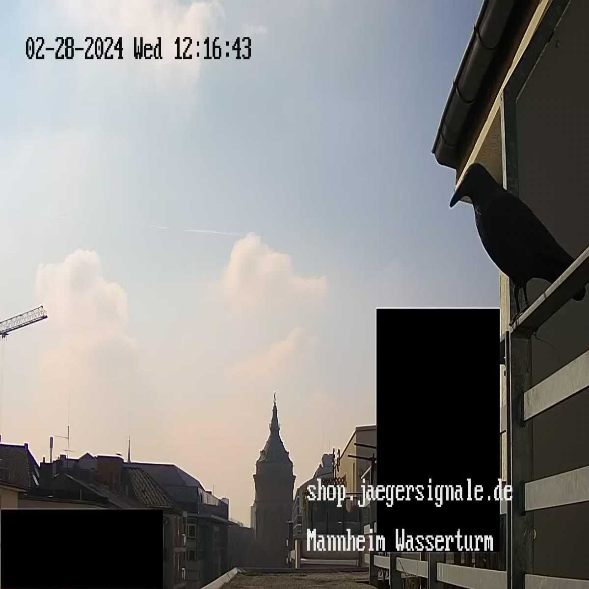 Essingen webcam