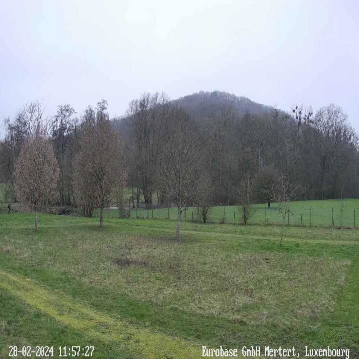 Dreisbach webcam