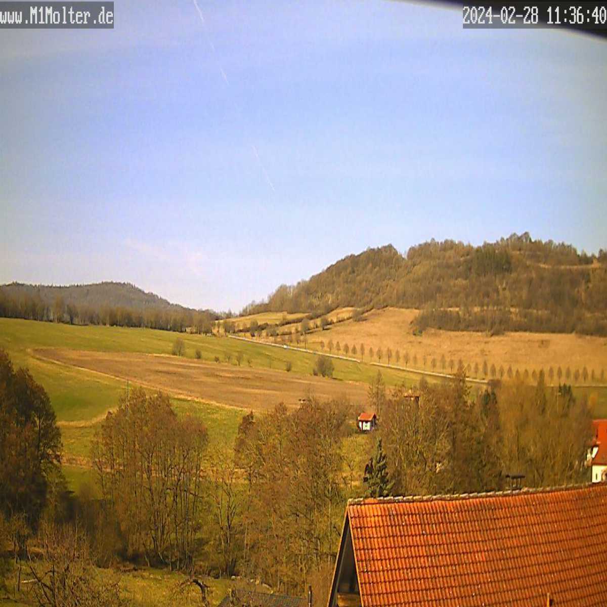 Bachfeld webcam