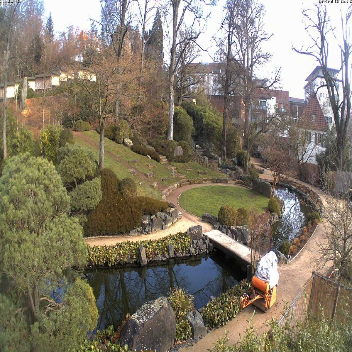 Dreisbach webcam