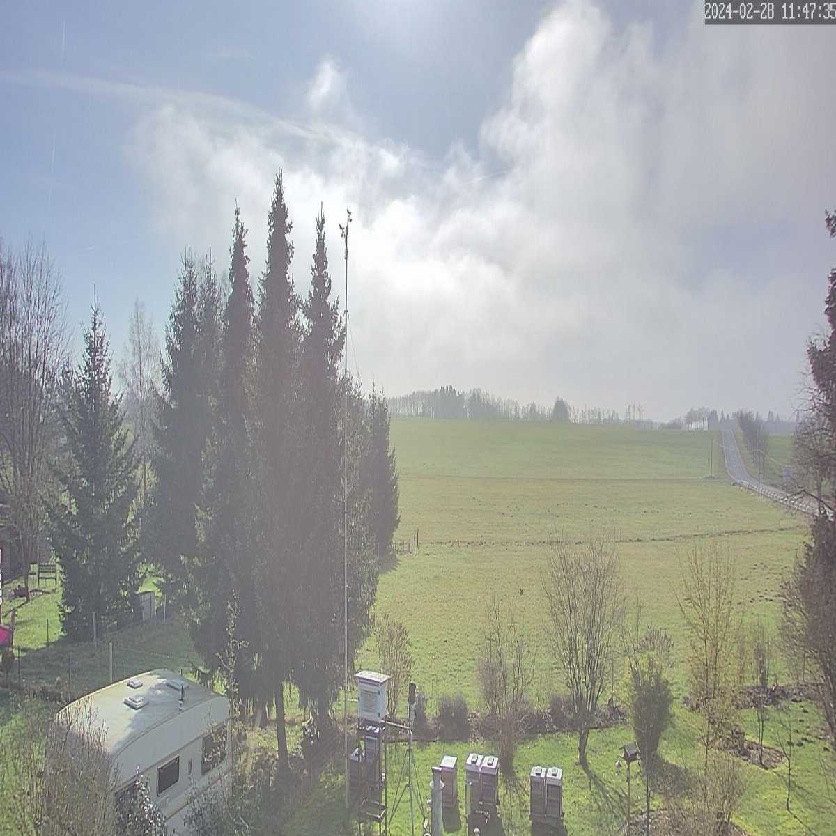 Dreisbach webcam