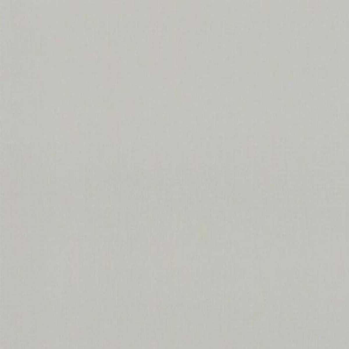 Silver Springs webcam