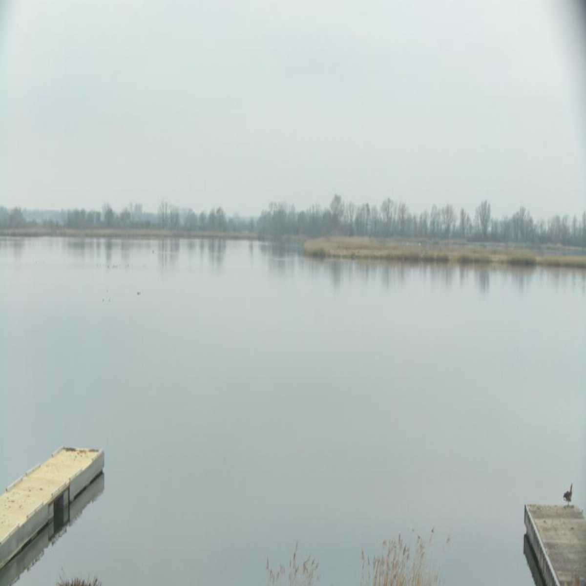 Stadtprozelten webcam